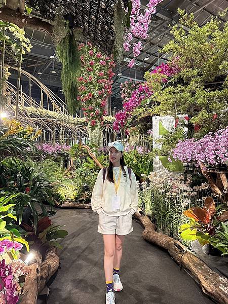 [台南蘭展] 2025亞太蘭花會議暨臺灣國際蘭展 20大精彩