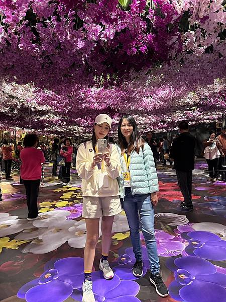 [台南蘭展] 2025亞太蘭花會議暨臺灣國際蘭展 20大精彩