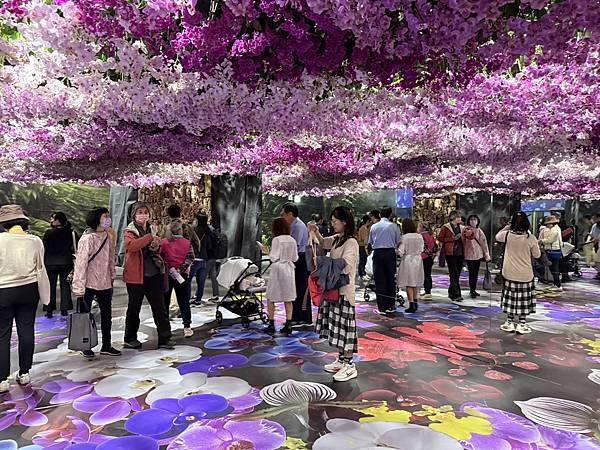 [台南蘭展] 2025亞太蘭花會議暨臺灣國際蘭展 20大精彩