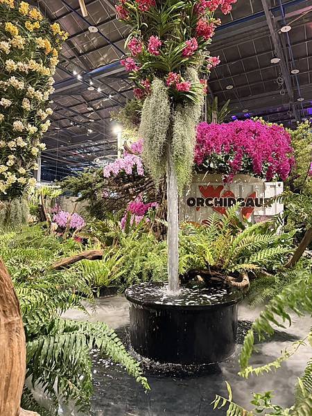 [台南蘭展] 2025亞太蘭花會議暨臺灣國際蘭展 20大精彩