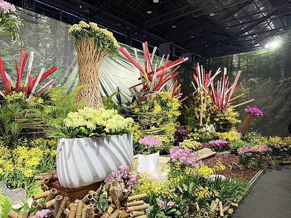 [台南蘭展] 2025亞太蘭花會議暨臺灣國際蘭展 20大精彩