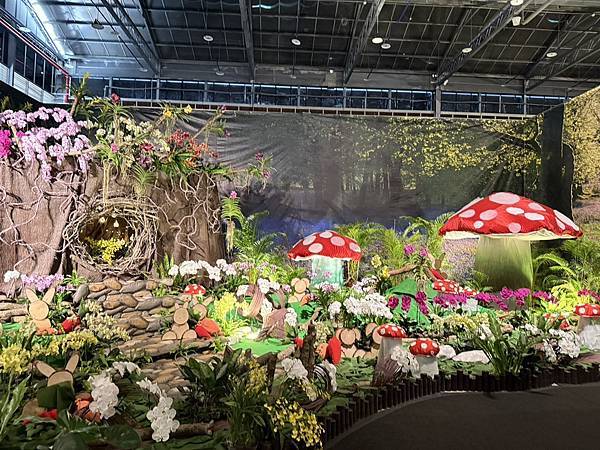 [台南蘭展] 2025亞太蘭花會議暨臺灣國際蘭展 20大精彩
