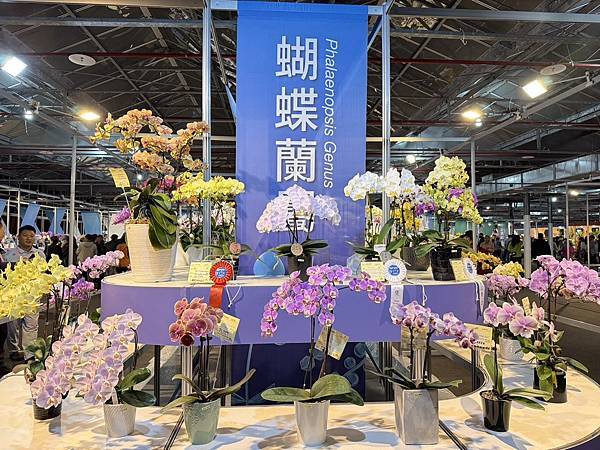 [台南蘭展] 2025亞太蘭花會議暨臺灣國際蘭展 20大精彩