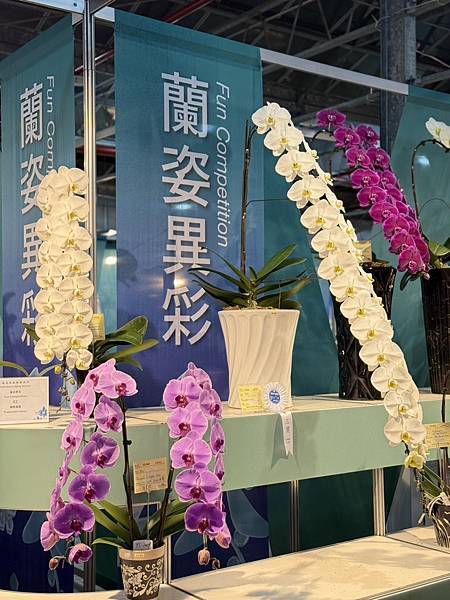 [台南蘭展] 2025亞太蘭花會議暨臺灣國際蘭展 20大精彩