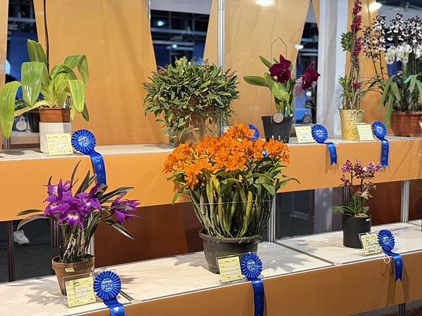 [台南蘭展] 2025亞太蘭花會議暨臺灣國際蘭展 20大精彩