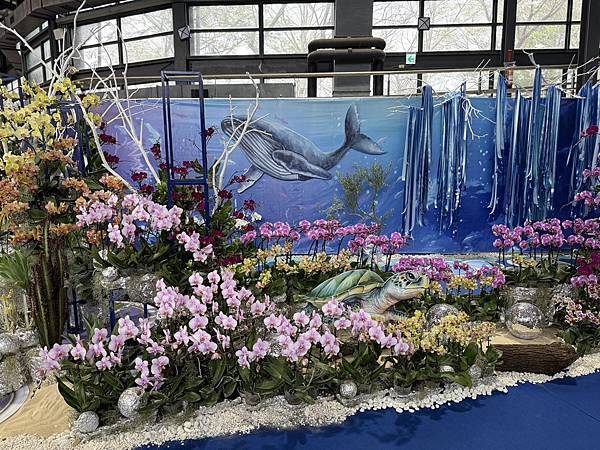 [台南蘭展] 2025亞太蘭花會議暨臺灣國際蘭展 20大精彩