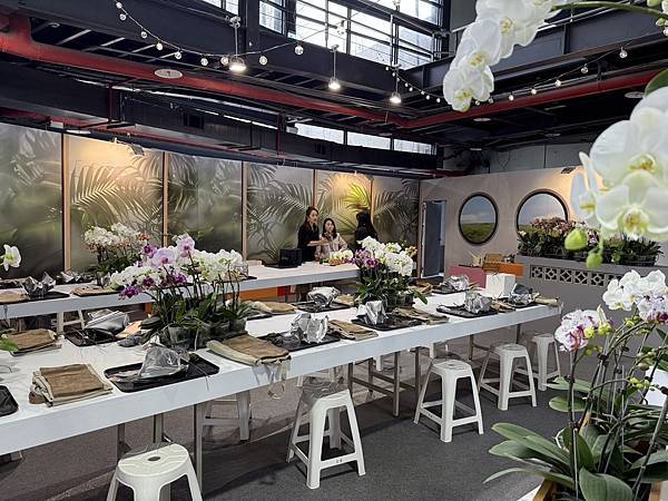 [台南蘭展] 2025亞太蘭花會議暨臺灣國際蘭展 20大精彩