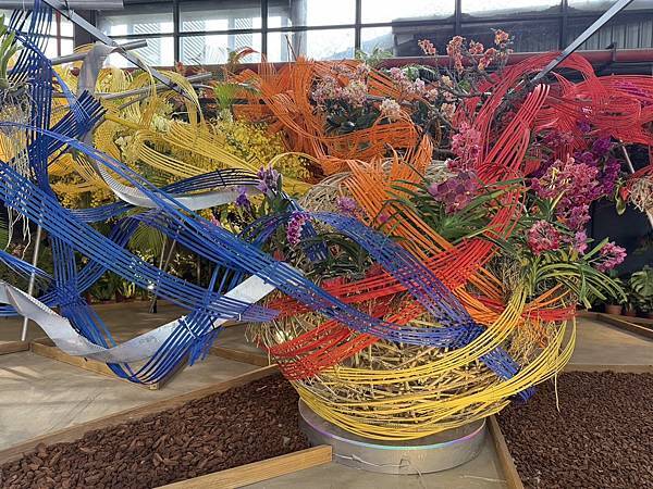 [台南蘭展] 2025亞太蘭花會議暨臺灣國際蘭展 20大精彩