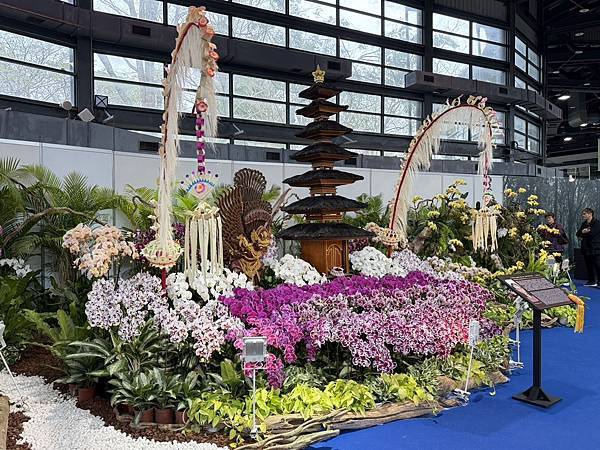 [台南蘭展] 2025亞太蘭花會議暨臺灣國際蘭展 20大精彩
