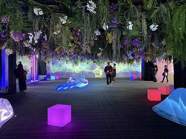 [台南蘭展] 2025亞太蘭花會議暨臺灣國際蘭展 20大精彩