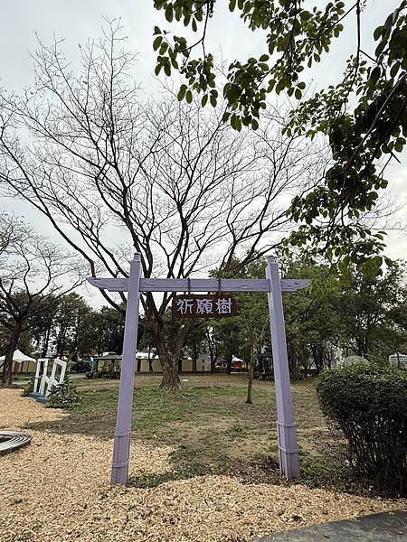 [台南蘭展] 2025亞太蘭花會議暨臺灣國際蘭展 20大精彩