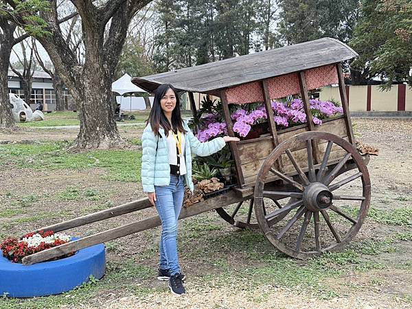 [台南蘭展] 2025亞太蘭花會議暨臺灣國際蘭展 20大精彩