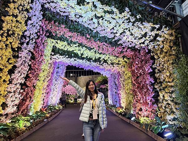 [台南蘭展] 2025亞太蘭花會議暨臺灣國際蘭展 20大精彩