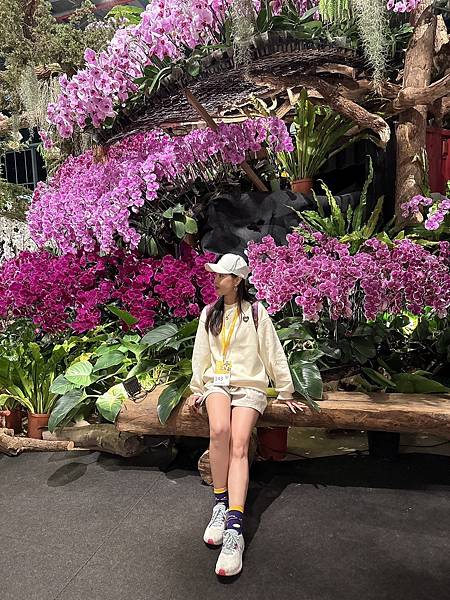 [台南蘭展] 2025亞太蘭花會議暨臺灣國際蘭展 20大精彩