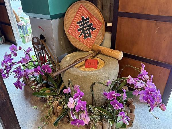 [台南蘭展] 2025亞太蘭花會議暨臺灣國際蘭展 20大精彩