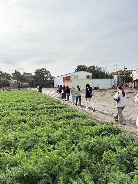[台南旅遊] 2025將軍區紅蘿蔔木棉爭鮮搶豔同樂會 #將軍