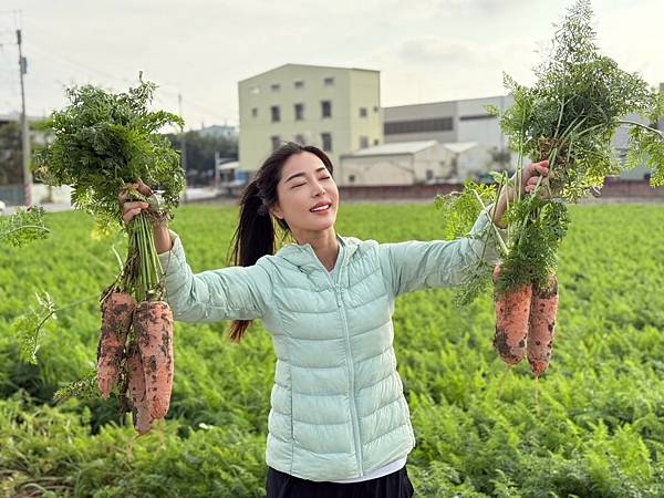 [台南旅遊] 2025將軍區紅蘿蔔木棉爭鮮搶豔同樂會 #將軍