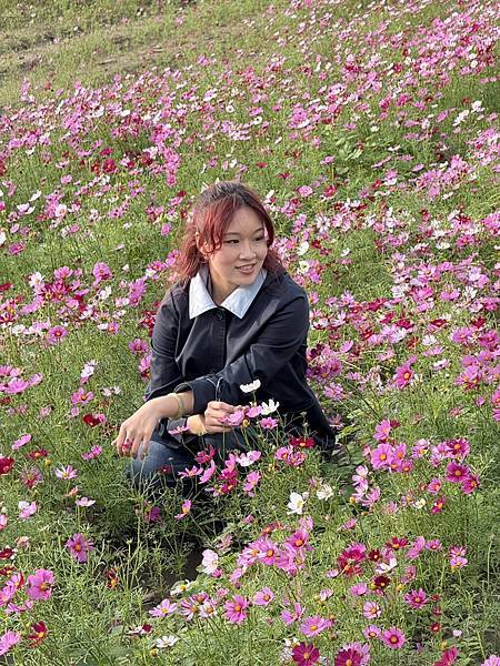 [台南旅遊] 2025將軍區紅蘿蔔木棉爭鮮搶豔同樂會 #將軍