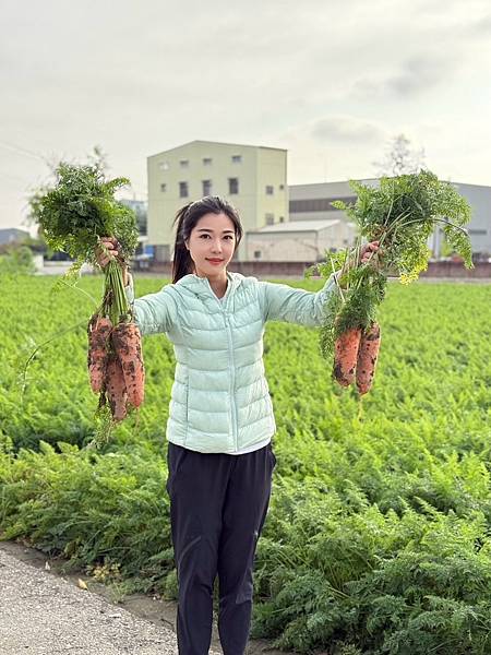 [台南旅遊] 2025將軍區紅蘿蔔木棉爭鮮搶豔同樂會 #將軍