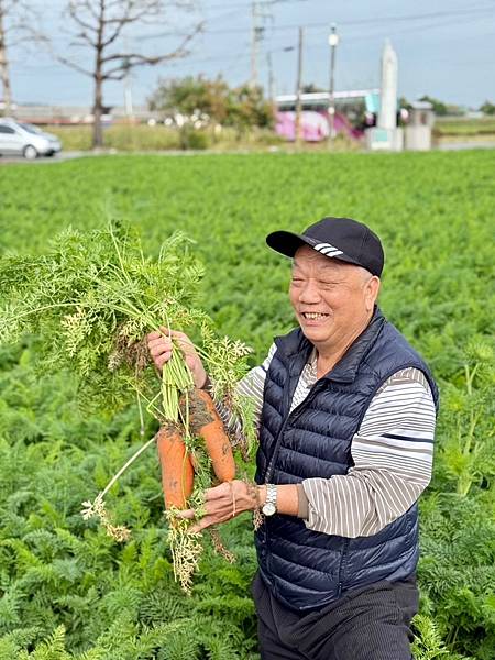 [台南旅遊] 2025將軍區紅蘿蔔木棉爭鮮搶豔同樂會 #將軍