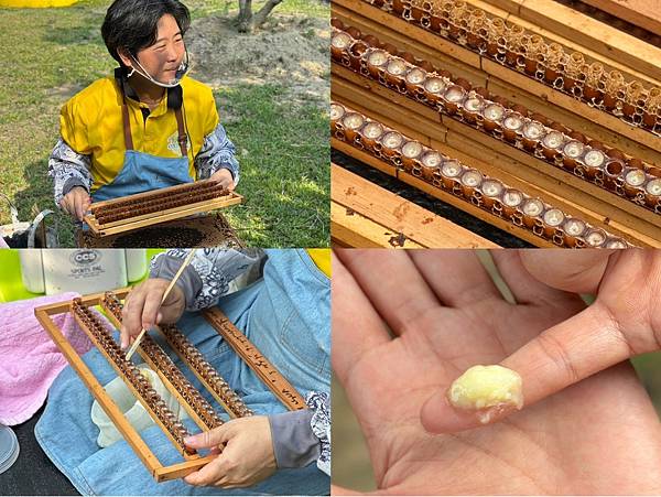 LINE_ALBUM_東和蜂_250428_1.jpg LINE_ALBUM_東和蜂_250428_1.jpg