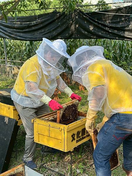 LINE_ALBUM_東和蜂_250428_36.jpg LINE_ALBUM_東和蜂_250428_36.jpg