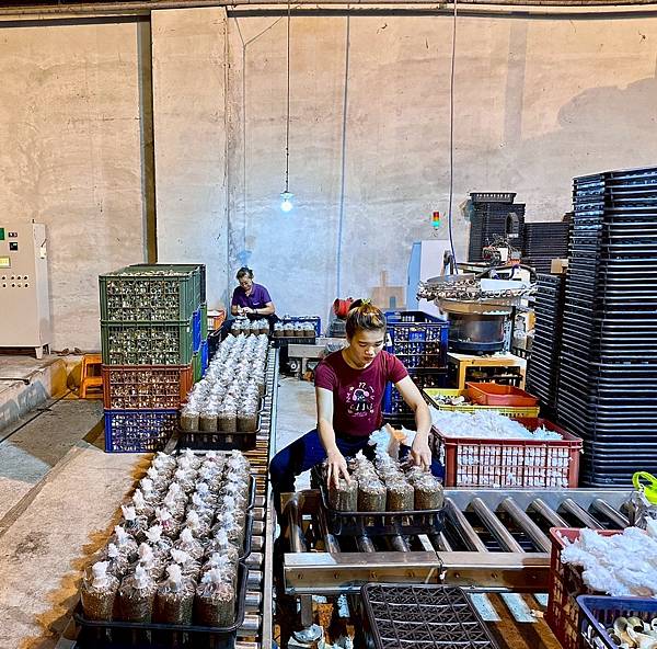 LINE_ALBUM_圃圃豐_250503_12.jpg LINE_ALBUM_圃圃豐_250503_12.jpg