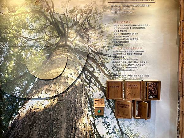 LINE_ALBUM_20250707愛木村_250712_61.jpg LINE_ALBUM_20250707愛木村_250712_61.jpg