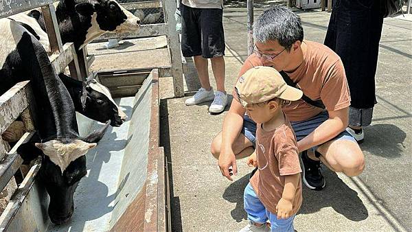 [台南住宿推薦] 捷絲旅 台南虎山館 糖廠風格設計旅店 絕美