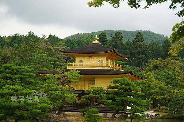 KINKAKUJI7