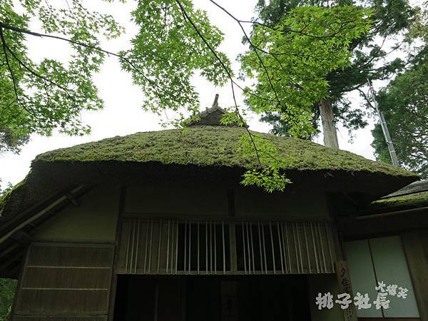 KINKAKUJI16 (2)