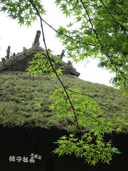 KINKAKUJI16 (3)