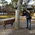 Nara59.jpg