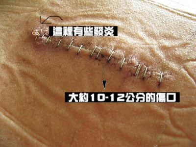 981013-1.jpg 981013-1.jpg