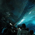 tunnel--大型水族館都要來一下的