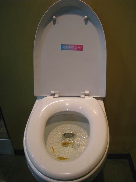 fish in the toilet