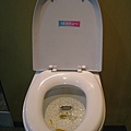 fish in the toilet