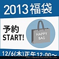 global work2013