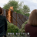 《陰屍路 The Walking Dead》第六季 EP2 14.png