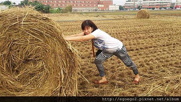 稻草甜心捲