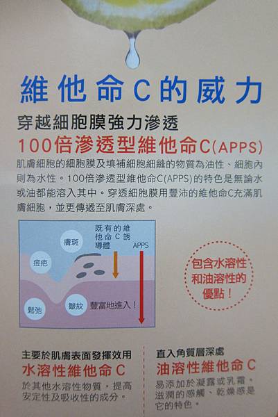 1432225835-2573271160_n.jpg