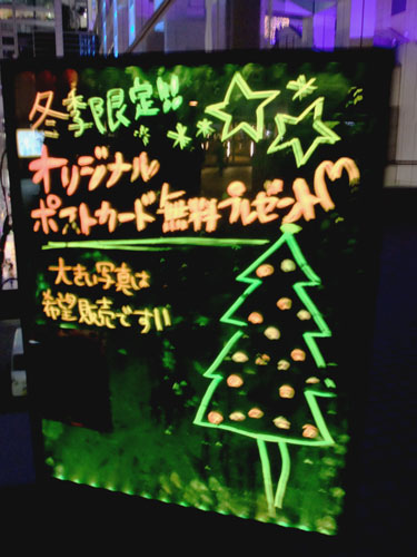 DSCF8446.jpg DSCF8446.jpg