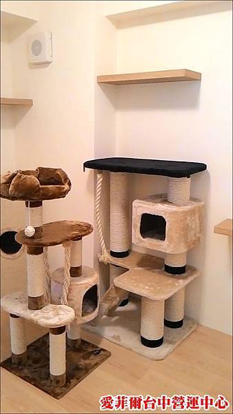 P_20150724_145040.jpg P_20150724_145040.jpg