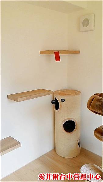 P_20150724_145220.jpg P_20150724_145220.jpg