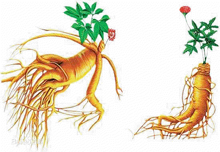 防水_防汗_睫毛膏_染眉膏_眉筆