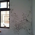 20130912_124915.jpg