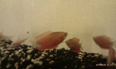 IMAG0206.jpg IMAG0206.jpg