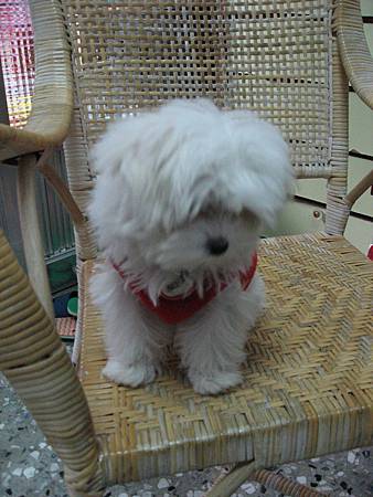 IMG_4344.JPG IMG_4344.JPG