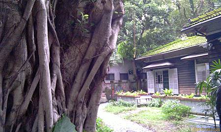 IMAG0011.jpg IMAG0011.jpg
