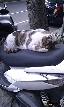 IMAG0010.jpg IMAG0010.jpg